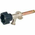 Prier 1/2 In. SWT x 1/2 In. IPS x 10 In. Frost Free Wall Hydrant 378-10